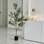 [พร้อมส่ง] Jnihouse : ต้นมะกอกประดิษฐ์ (Artificial Olive Tree) ต้นไม้ปลอม