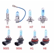 1pcs halogen bulb h1 h3 h4 h7 h8 h11 9005 9006