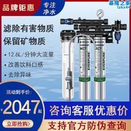 愛惠浦淨水器twin雙聯mc2 奶茶店咖啡製冰機 商用過濾直飲機