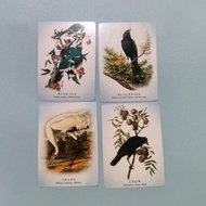 10.5*7.5cm The Spiritual Meaning of Birds Oracle Deck, 50 Pcs Nature-Inspired Fortune Telling Cards 