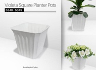 POT BUNGA VIOLETA 50CM pot tanaman jumbo pot plastik pot tawon tebal