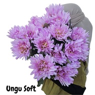 Premium 7-Branch Artificial Aster Chrysanthemum Cactus Flower | Wedding Decorations for Living Rooms