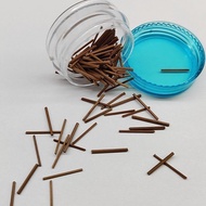 Natural Tea Stem Stick Ear Stick Tea Stem Ear Stud Ear Stud Earrings Ear Stick Tea Stick Student Inv