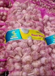 BAWANG PUTIH SINCO