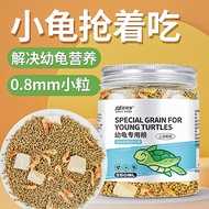 Small Turtle Food Open Ration Type Edible