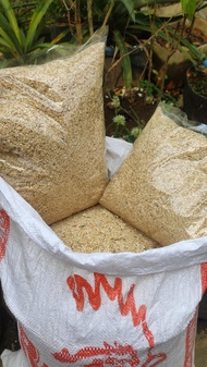Fine Saw Dust Kusot for Plan Substrate / Alternative for Cat Litter