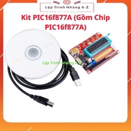 [Embedded Programming A-Z][G41] Kit PIC16f877A (Including PIC16f877A Chip)