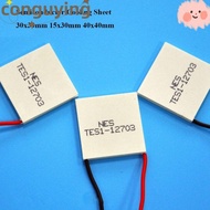 CONGUYING Semiconductor Cooling Sheet, 30x30mm 40x40mm Refrigeration Plate,  TEC1-06303 TES1-12704 T