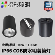 Outdoor Surface Mounted Downlight IP66 Waterproof Hanging Downlight Canopy Waterproof Surface Mounte