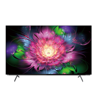 SAMPO 聲寶 55吋 4K OLED轟天雷連網智慧顯示器(OLED-55ZW8212)