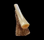 Pipa Once Iga Duyung Kristal