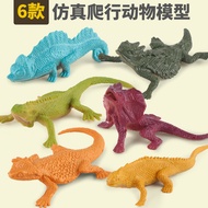 Simulasi Model Reptilia Cicak Payung Cicak Bunglon Pendidikan Awal Kanak-kanak Mainan Kognitif 3+ Pe