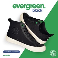 Evergreen BLACK ORIGINAL