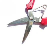 Korean Multipurpose Scissors for Zinc Paper Branches and Twigs - ATS