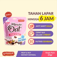 MINUTE OAT Fruit & Nut 65gr - Meal Replacement Instant Oatmeal | Granolab Muesli