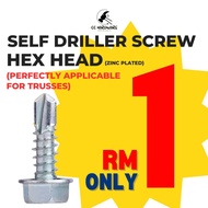 [RM1 ONLY] DX517HO Self Driller Screw - Reliable, Efficient and Built for THRUSS