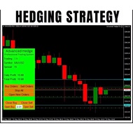 Hedging EA Robot 2025