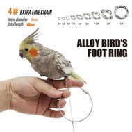 Bird Training leash set 31.5inch Bird leash with ring Metal Bird chain for Lovebirds Parakeet