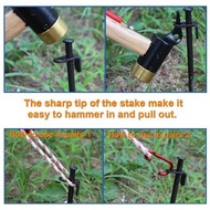 Camping Peg Ground 30CM Nail