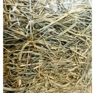 Sun Dried 2nd Cut Timothy Hay 1kg