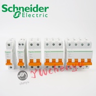 Schneider EA9AN 1P 2P 3P 4P C6 C10 C20 C Type Small Circuit Breaker EA9 EASY9