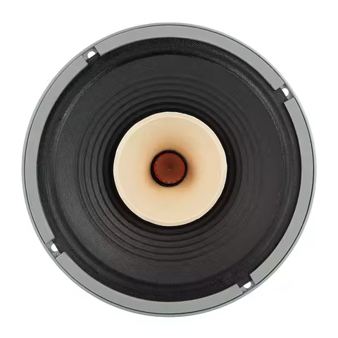 Lii Song F8 8 Inch Premium HiFi Full Range Speaker Driver, Home Audio Full Range Unit 8Ohm 30-60W, 1