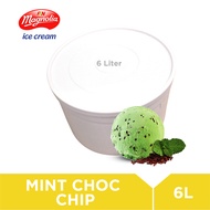 Magnolia Mint Choc Chips 6L Ice Cream