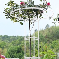 Assemble Umbrella Flower Frame Climbing Vine Frame - White Total Height 210cm Diameter 25cm
