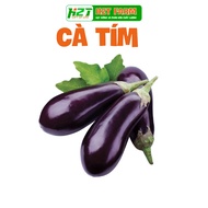 Easy to Grow Eggplant Seeds, High Yield - h2t farm