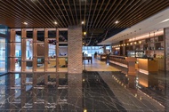 震大金鬱金香酒店-台中Golden Tulip Hotel Taichung