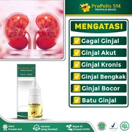 Obat Gagal Ginjal No 1 Gagal Ginjal Stadium 5 Gagal Ginjal Cuci Darah Gagal Ginjal Kronis Gagal Ginj