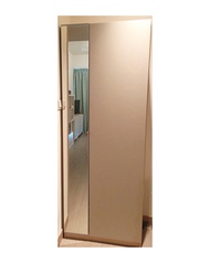 IKEA PAX 鞋櫃 儲物櫃 連鏡門