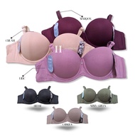 Fema 3333 Underwire A Cup Bra 2 Hooks push up Foam Bra size 34 - 38