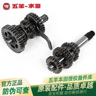 Wuyang Honda Fengying Kaiying Original Factory Main Axis Assembly WH125-6-S-13-13A Teeth Engine Gear