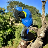Hyacinth Macaw - Anodorhynchus hyacinthinus Animal Heavenly Body