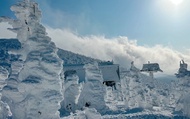 Sendai Zao Snow Monsters & Ginzan Onsen Day Tour