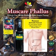 Muscare Phallus ❗️Penawar❗️ Angin Pasang/Hernia/Uluran