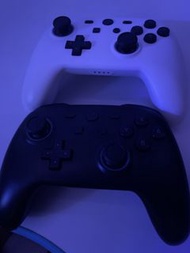 Nintendo Switch Pro 手掣