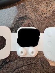 (L size) Apple AirPods Pro 2 耳塞