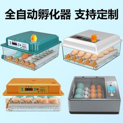 🔥最低價🔥孵化器 110V 全自動 小雞孵化機 智能恒溫 孵蛋器 恒溫孵化箱 鴨鵝孵蛋機
