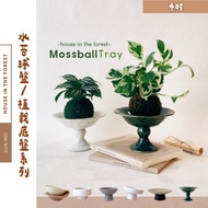 Senmei Planting Chassis Essential For Potted Plants Special Water Moss Heightened Design Leak-Proof 