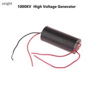 [ceight] High Voltage Generator High Voltage Module Transformer Step-up Module 3-6V 400KV 1000KV TH
