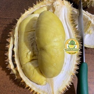 SALE GERCEP!!! durian montong palu parigi utuhan/butiran PACKING AMAN