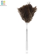 Feather Cleaning Brush Tool Ostrich Feather Duster With Extendable Handle for High Ceiling Light Win