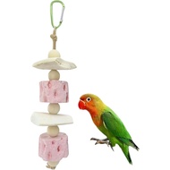 Bird Chewing Toys for Parrot Natural Cuttlebone Mineral Substance Supplies for Birds Lovebird Budgie