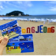 CoffeeBean Busan Collection Busan Series Limited Edition Starbucks Limited Edition Magnet