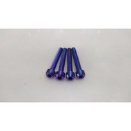 Titanium Bolts Gr 5 Raiser Honda Megapro