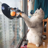 猫吸盘轨道球玩具墙面玩具逗猫波浪球型娱乐猫玩具窗台成幼猫用品8.48.4 Cat suction cup track ball toy, wall toy, cat teaser wave ball,