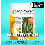 (200 GRAM) Biji Benih Kacang Botol Big Four 大四喜 WB48 CROP POWER Winged Bean seeds 四棱豆种子 WB 48