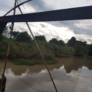 jaring anco nilon 5m x 5m lubang 1 inchi untuk ikan bandeng nila murah